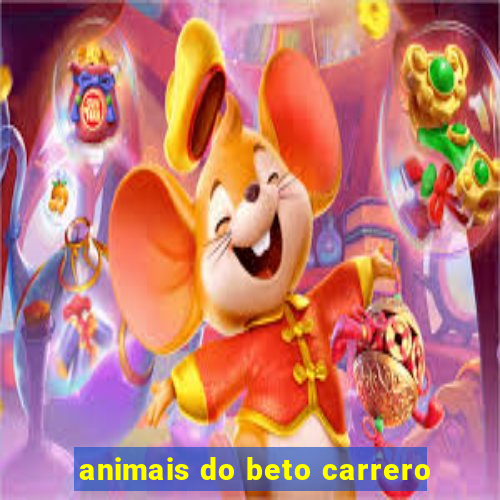 animais do beto carrero